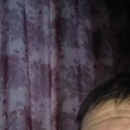 �����, ������, 35 ���