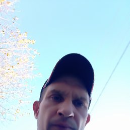 ���� �������, ���������, 39 ��� - ��������� 6 ������ 2025