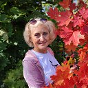 ���� ����, ����������, 54 ���� - ��������� 17 �������� 2025 � ������ ���� ����������