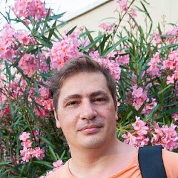 , 52 , 