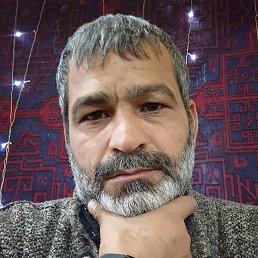 ������ �����, �������, 41 ���