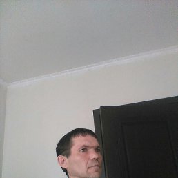 , 45, 