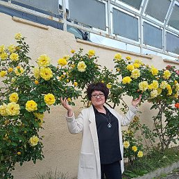 , 53, 