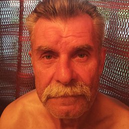 ������ �������, �����-���������, 66 ���