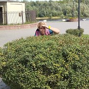 ��������, , �������