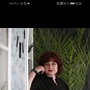 ���� ��������, ����������, 41 ��� - ��������� 23 ������� 2024 � ������ ���� ����������