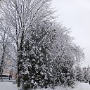 ���� ��������, ����� - ��������� 25 ������� 2026 � ������ ���� ����������