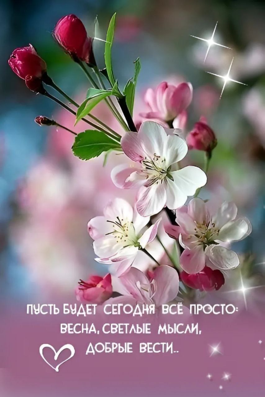  - 27  2025  13:20