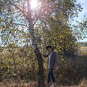 ���� ������, ������ - ��������� 20 �������� 2024 � ������ ���� ����������