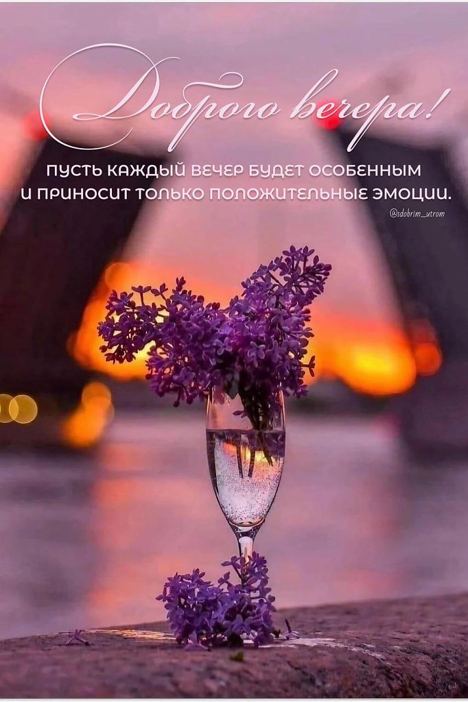   ,    . - 12  2025  20:09