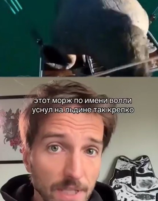      ,   . ,    ? - 2