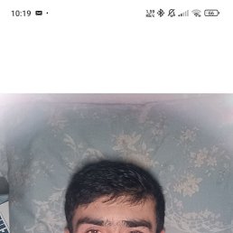 , 55, 