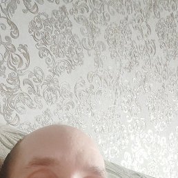 ���������, ���������, 40 ���