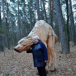 ������, ������, 65 ���