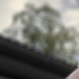 �����, ���������, 46 ���