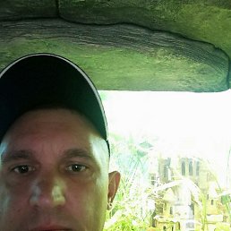 ��������, ��������, 42 ����