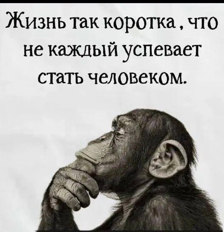   - 28  2025  23:45