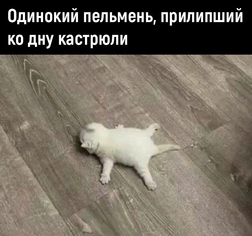  - 29  2025  19:28
