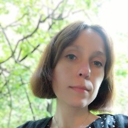 ���� ����, ������, 41 ��� - ��������� 8 ����� 2026