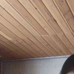 ������, ������, 47 ���