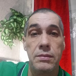 ������, �������, 55 ���