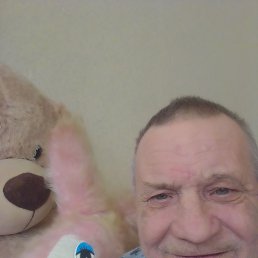 , 61, 