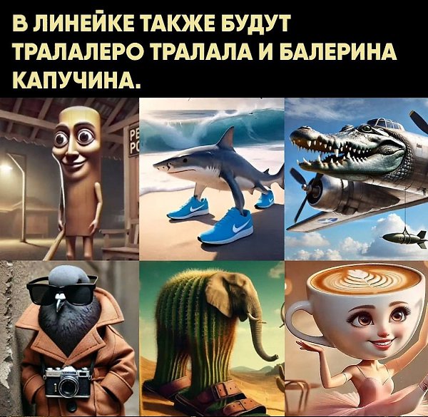  ! - 19  2025  11:33 - 3