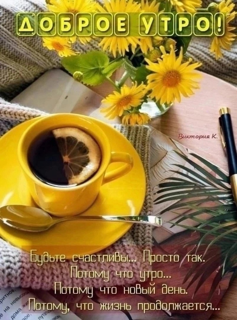   .     ,   ,    ... - 5