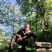 , 43 , 