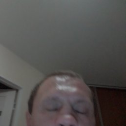 , 41, 