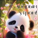 ���� ���������, ������ ��������, 51 ��� - ��������� 22 ������ 2025