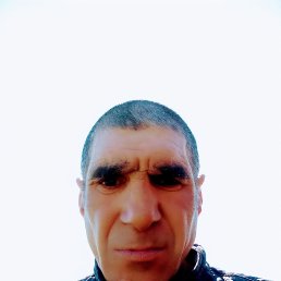 , 46, 