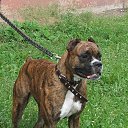 ���� �����, ���, 62 ���� - ��������� 28 ������ 2026 � ������ ���� ����������