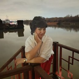 ���, ������, 43 ����