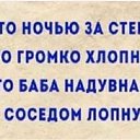 ���� ����������, ������, 49 ��� - ��������� 2 ����� 2025 � ������ ���� ����������