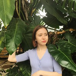 , 24, 