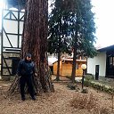 ���� Mitko, �����, 68 ��� - ��������� 4 ������� 2025 � ������ ���� ����������