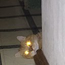 � ��� ����� ����� � ������������?)))) �� ������� ���� ����������