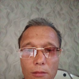  , 41, 