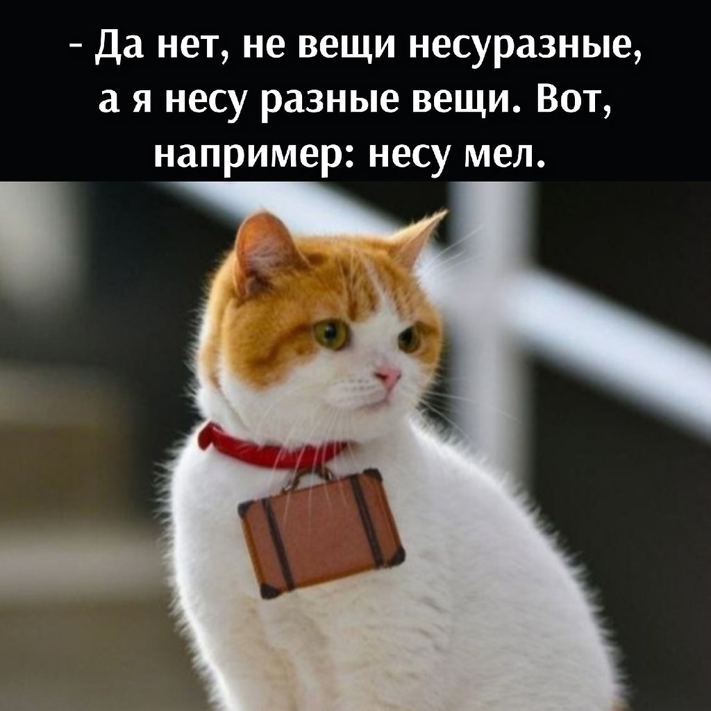       - 18  2025  15:54 - 4
