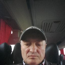 , 61 , 