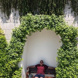 �����, ������, 55 ���