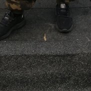 ������, 43 ����, ���������