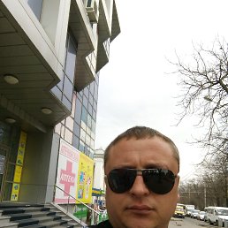 ������, 41 ���, �������