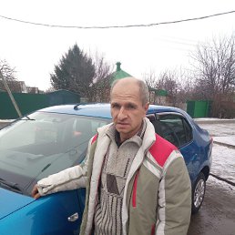 , 54, 