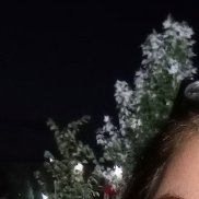 , 29 , 