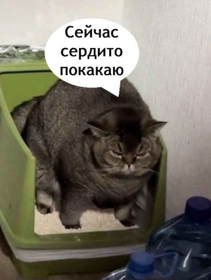 JPG - 29  2025  09:57