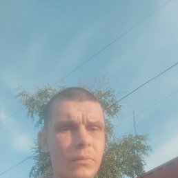 , 32, 