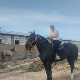 , 33, 