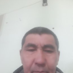 , 55, 